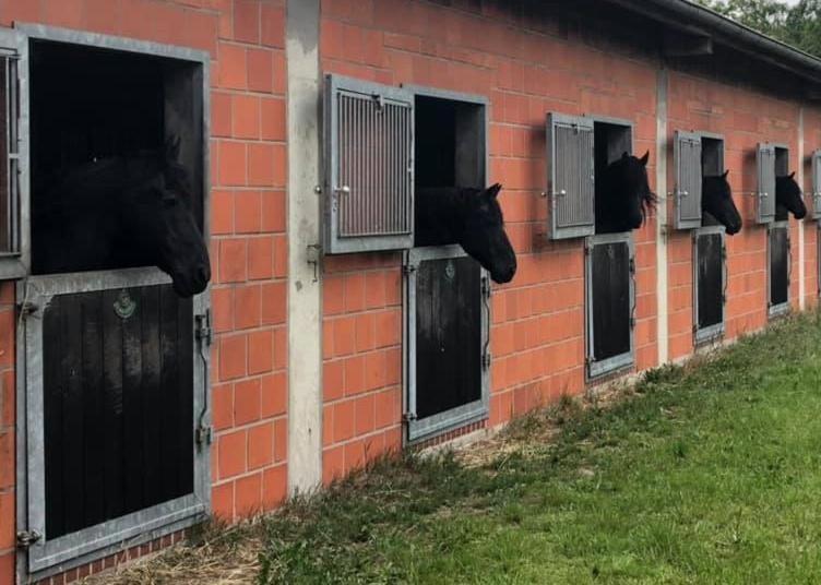 Ferienwohnung über dem Stutenstall Soltau Exterior foto